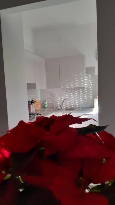 אאוסטה Lo Tsanty Casa Vacanza מראה חיצוני תמונה